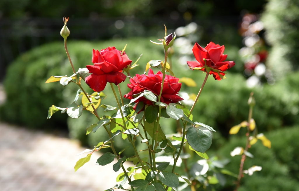 Краеведческий музей