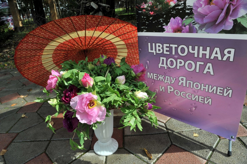 Осенний город