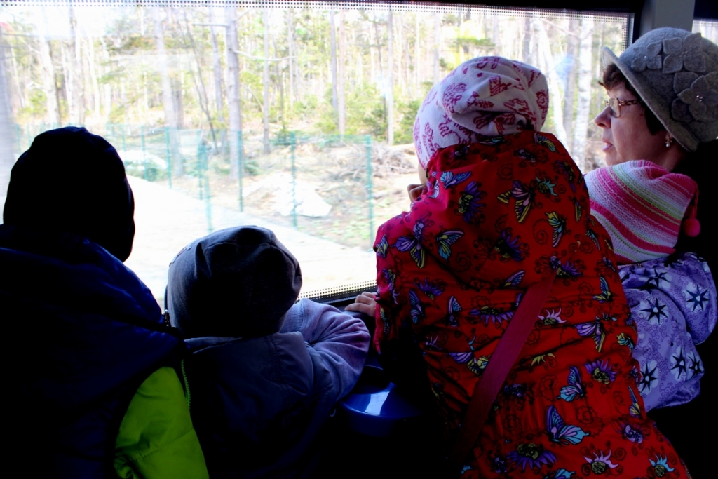 Открытие 62-го сезона детской железной дороги