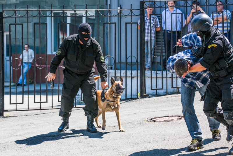 Арест Никитина Юлия, PrimaMedia