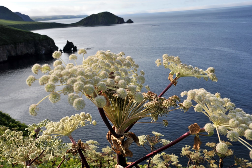 Окрестности мыса Кузнецова