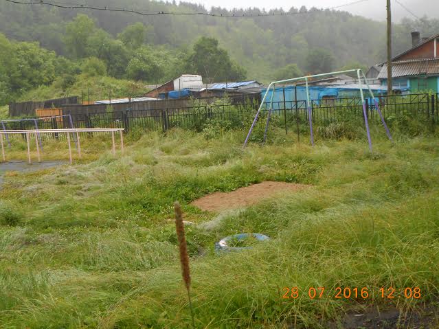 Территория школы