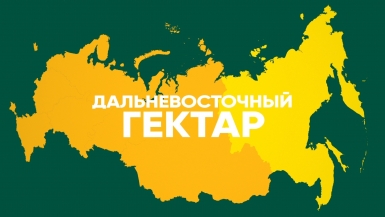 Дальневосточный гектар на Сахалине: все о мерах поддержки получателей