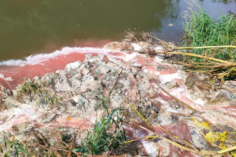 Причиной массовой гибели рыбы в реке Южно-Сахалинска мог стать сброс сточных вод 