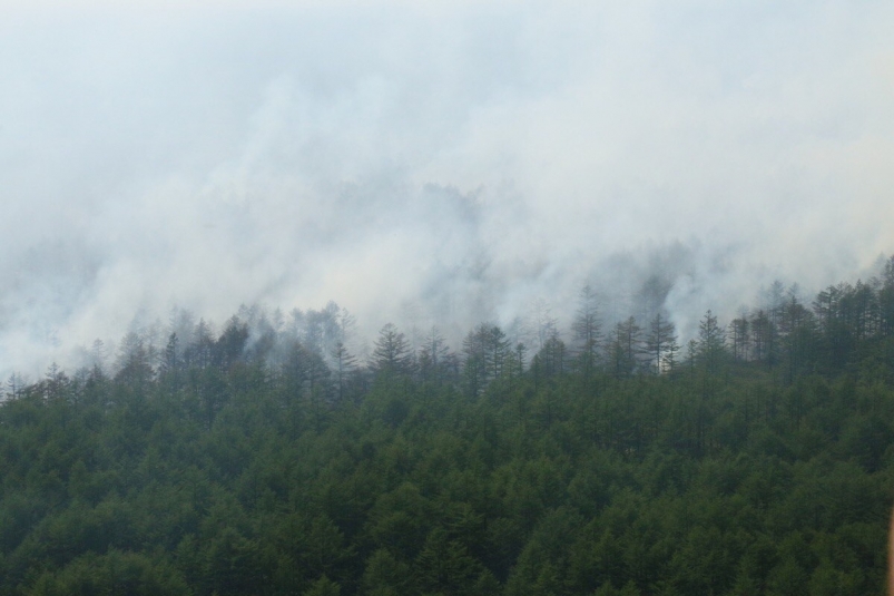 Пожароопасный сезон: как Сахалинская область минимизировала количество лесных пожаров