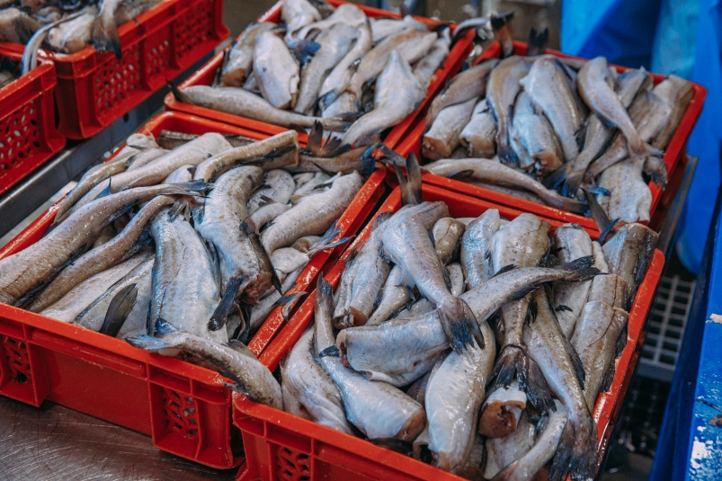 Удачный улов: где купить сезонную рыбу в Сахалинской области 1 марта