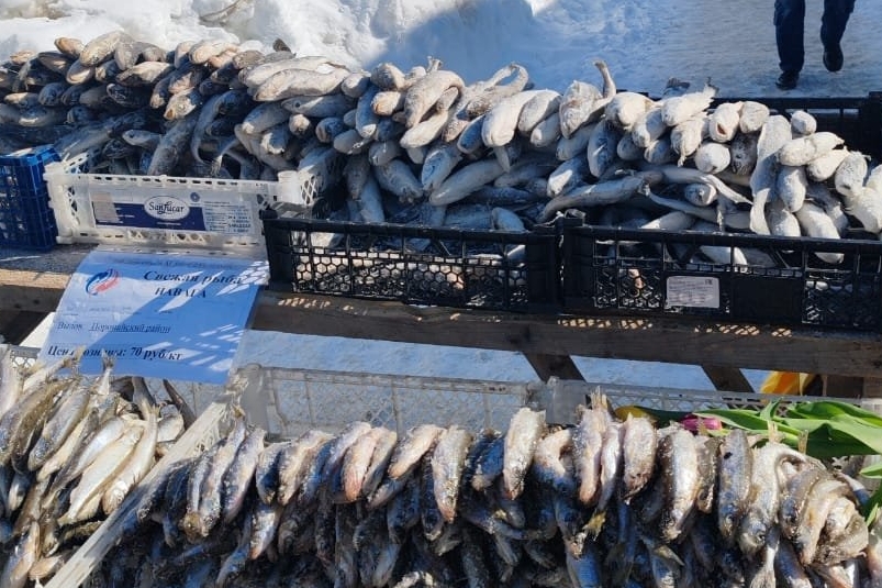 В Сахалинской области продали около 500 тонн рыбы по сниженным ценам