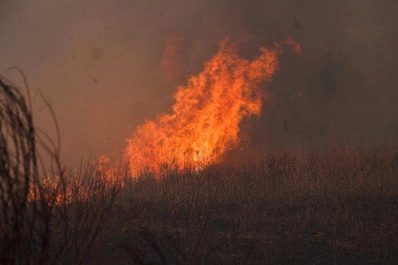 Возгорание сухой травы на площади 150 кв метров ликвидировали в Невельском районе