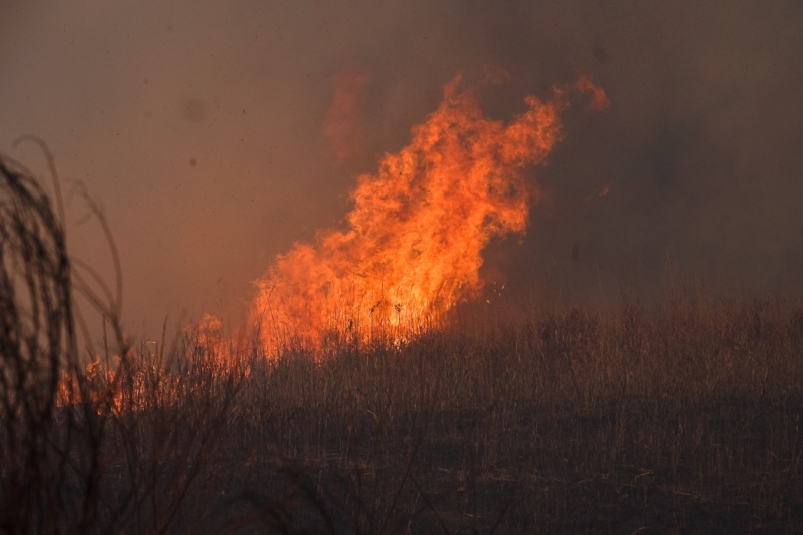 Ландшафтный пожар на площади 1000 кв метров тушили в Корсакове