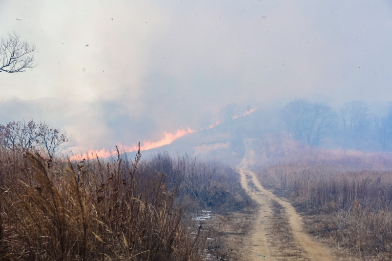 В Корсакове пожарные за несколько минут потушили загоревшуюся траву