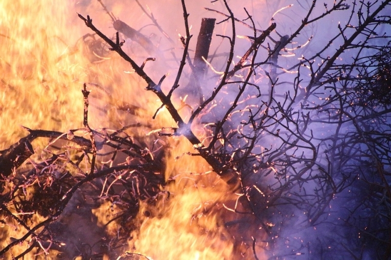 С 15 апреля в Сахалинской области начинается пожароопасный сезон