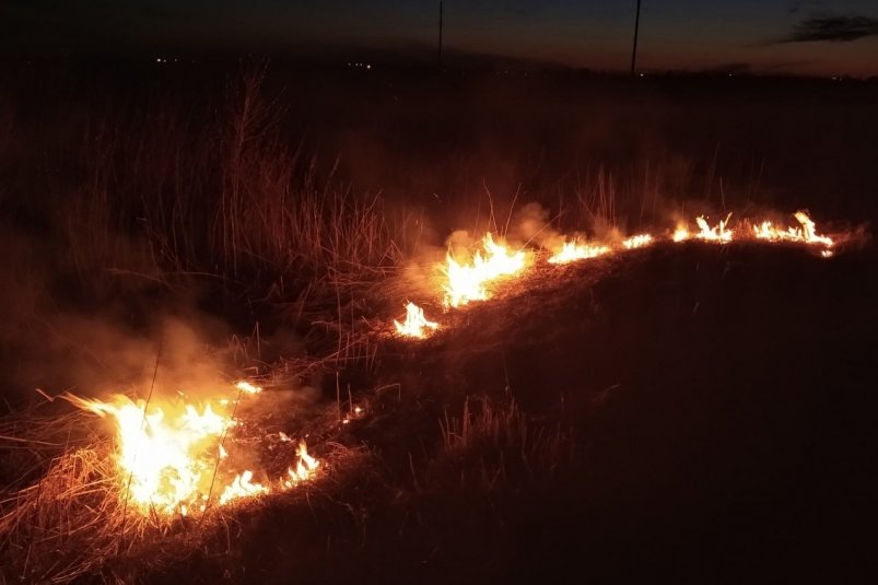Возгорание травы около трассы "Невельск - Томари" ликвидировали пожарные