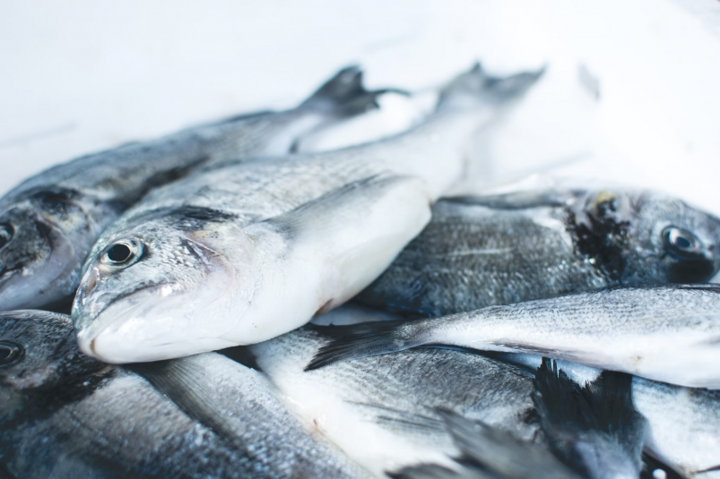 Экспорт рыбы с Сахалина и Приморья вырос более чем на 5 тысяч тонн за неделю
