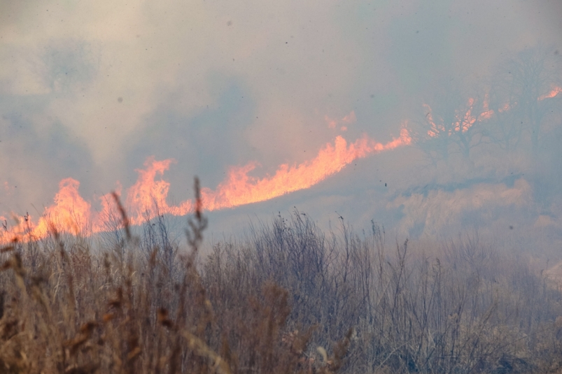 Пожарные почти три часа тушили сухую траву в Поронайском районе