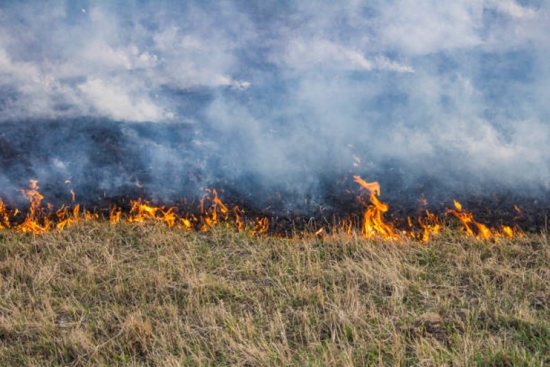 В Тымовском районе ликвидировали ландшафтный пожар