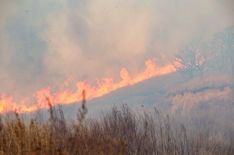 В Углегорском районе выгорело 7,5 тысячи кв метров травы