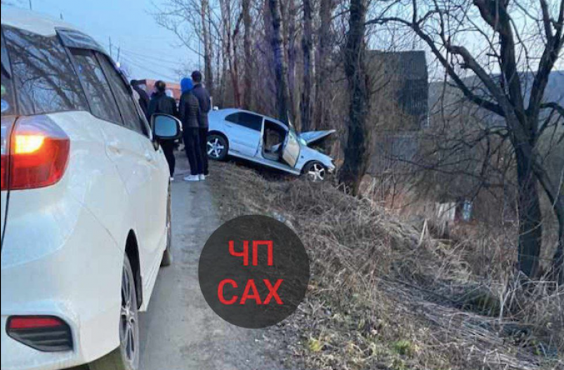 В Александровске-Сахалинском машина влетела в дерево