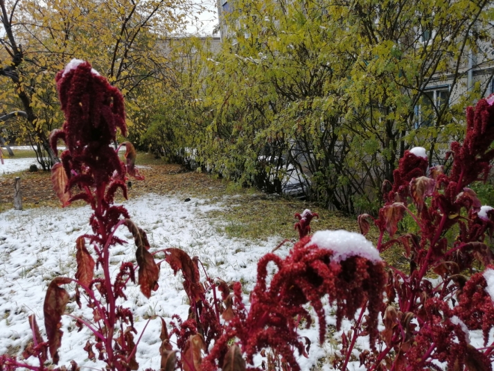 Пока вы спали: заморозки в Ростовской области и ужесточение мер безопасности в Финляндии