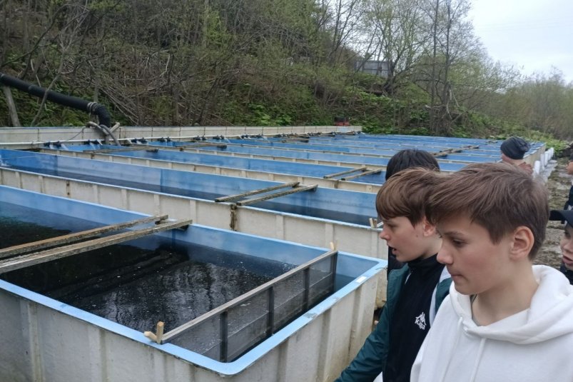 Школьники Сахалина разработали устройство для контроля качества воды в аквариуме