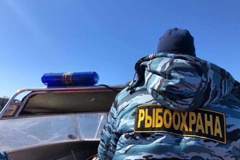 За неделю сахалинцы заплатили более 155 тысяч рублей за незаконный вылов рыбы