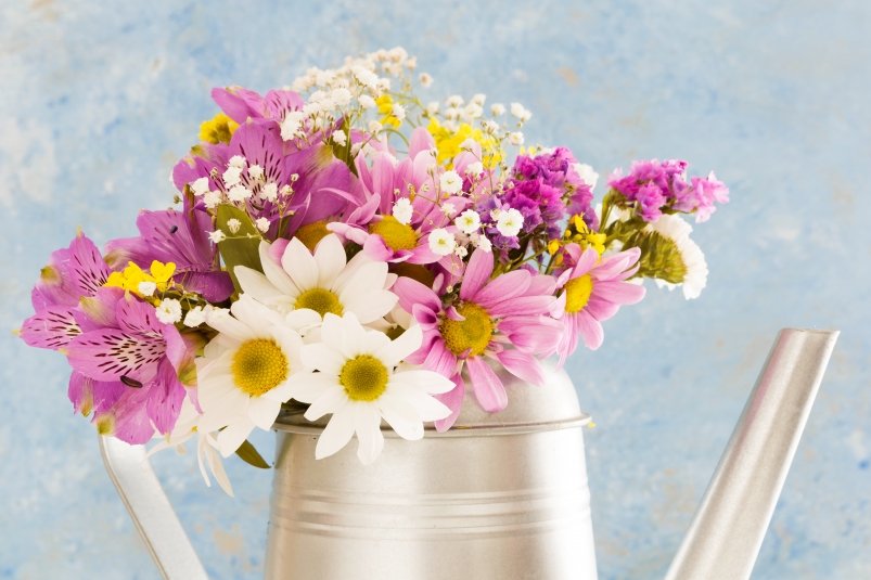 Секрет долговечности: лайфхак для сохранения свежести срезанных цветов в вазе