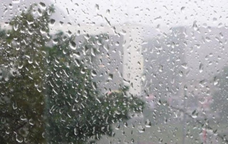 В 9 районах Сахалинской области ожидается сильный дождь