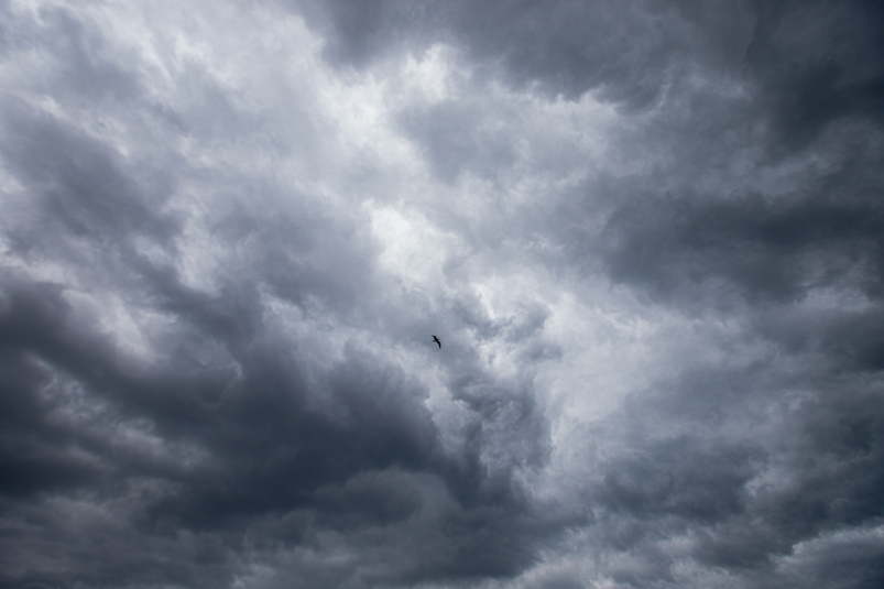 Облачно и до +22°С — прогноз погоды на Сахалине и Курилах на 11 июля