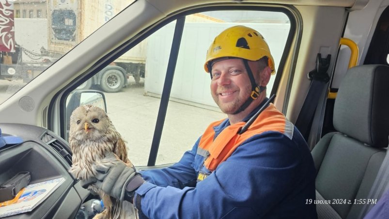 Спасатели помогли сове выбраться со склада в Южно-Сахалинске