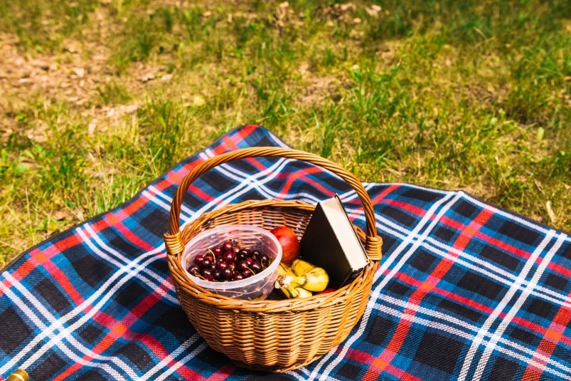 Свежесть на природе: как сохранить продукты на пикнике с помощью простого лайфхака
