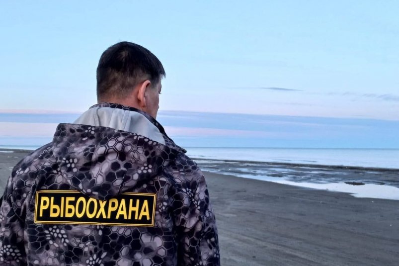 Любители незаконной рыбалки на Сахалине выплатили штрафы на 100 тысяч рублей