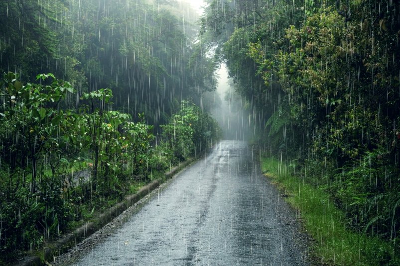 Сильные дожди и небольшое похолодание — прогноз погоды на Сахалине и Курилах на 2 августа