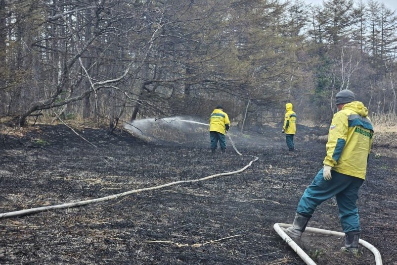 Лесные пожарные Сахалина получили десять новых высоконапорных мотопомп