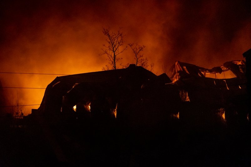 Несколько животных погибло при пожаре в приюте под Южно-Сахалинском