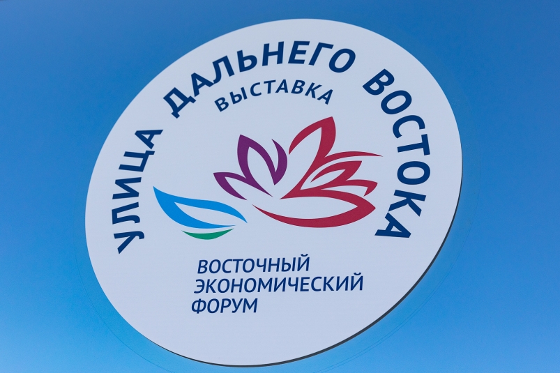 Сахалинские компании установили деловые контакты с инвесторами на полях ВЭФ