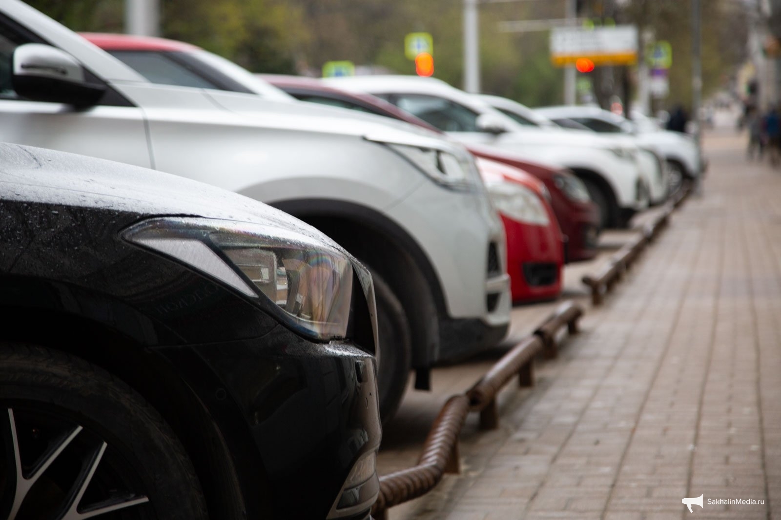 Тематическое фото Артём Хорошилов, ИА Stavropol.Media