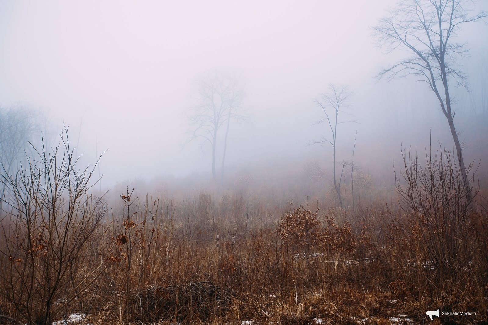 Тематическое фото Мария Смитюк, ИА PrimaMedia.ru