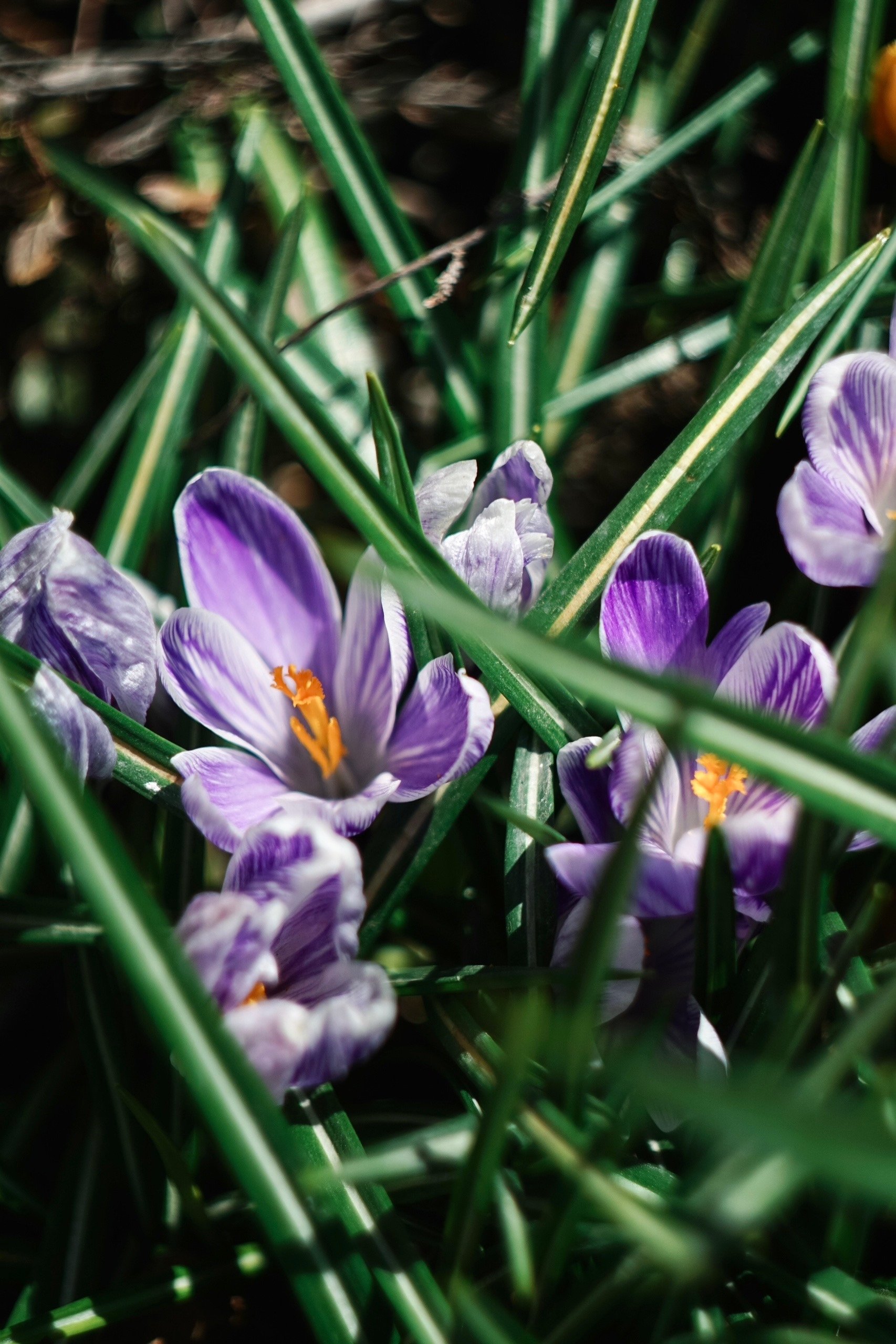 Тематическое фото Группа в Вконтакте &quotМуха в окне&quot (18+)