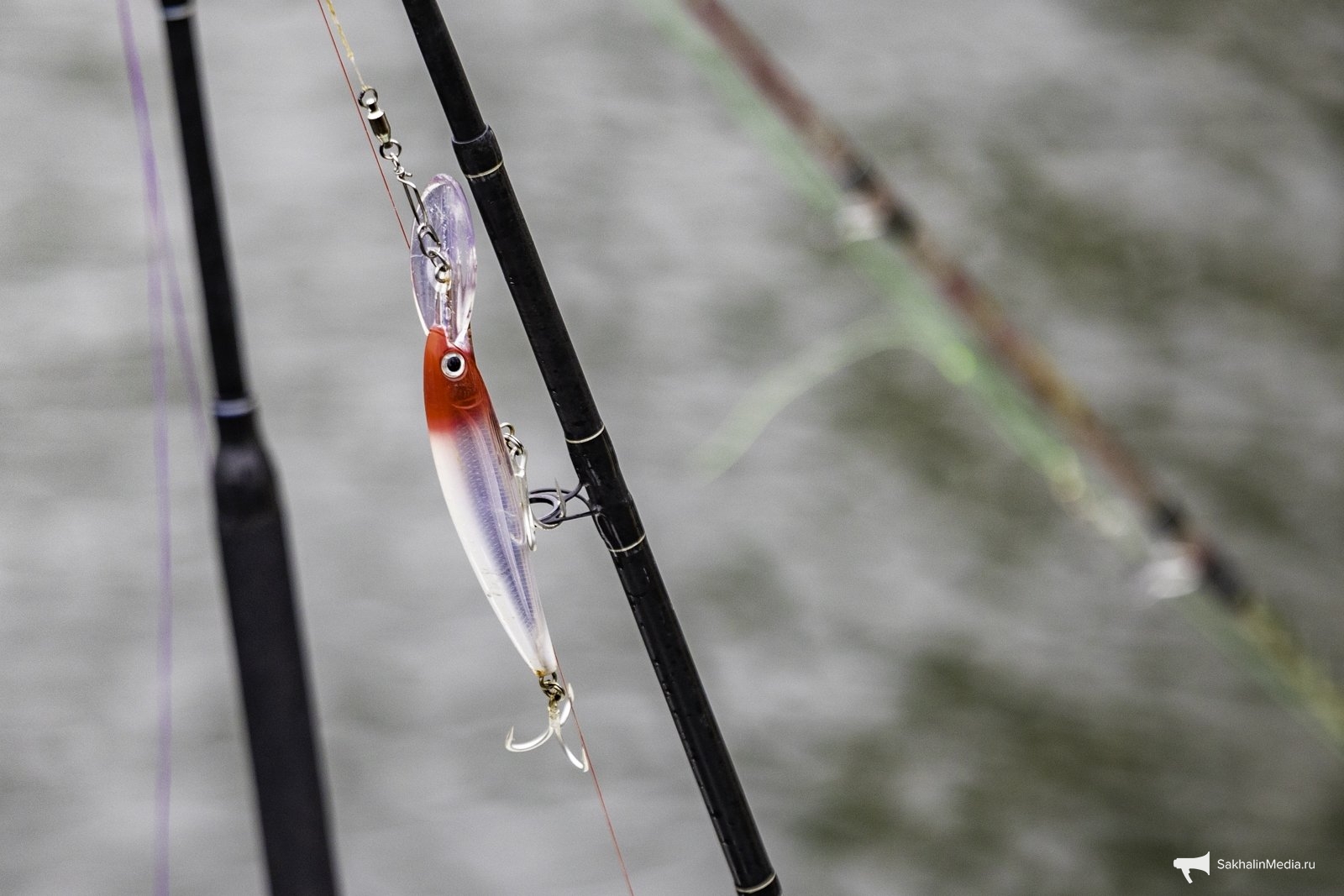 Тематическое фото Дмитрий Осипчук, ИА PrimaMedia.ru