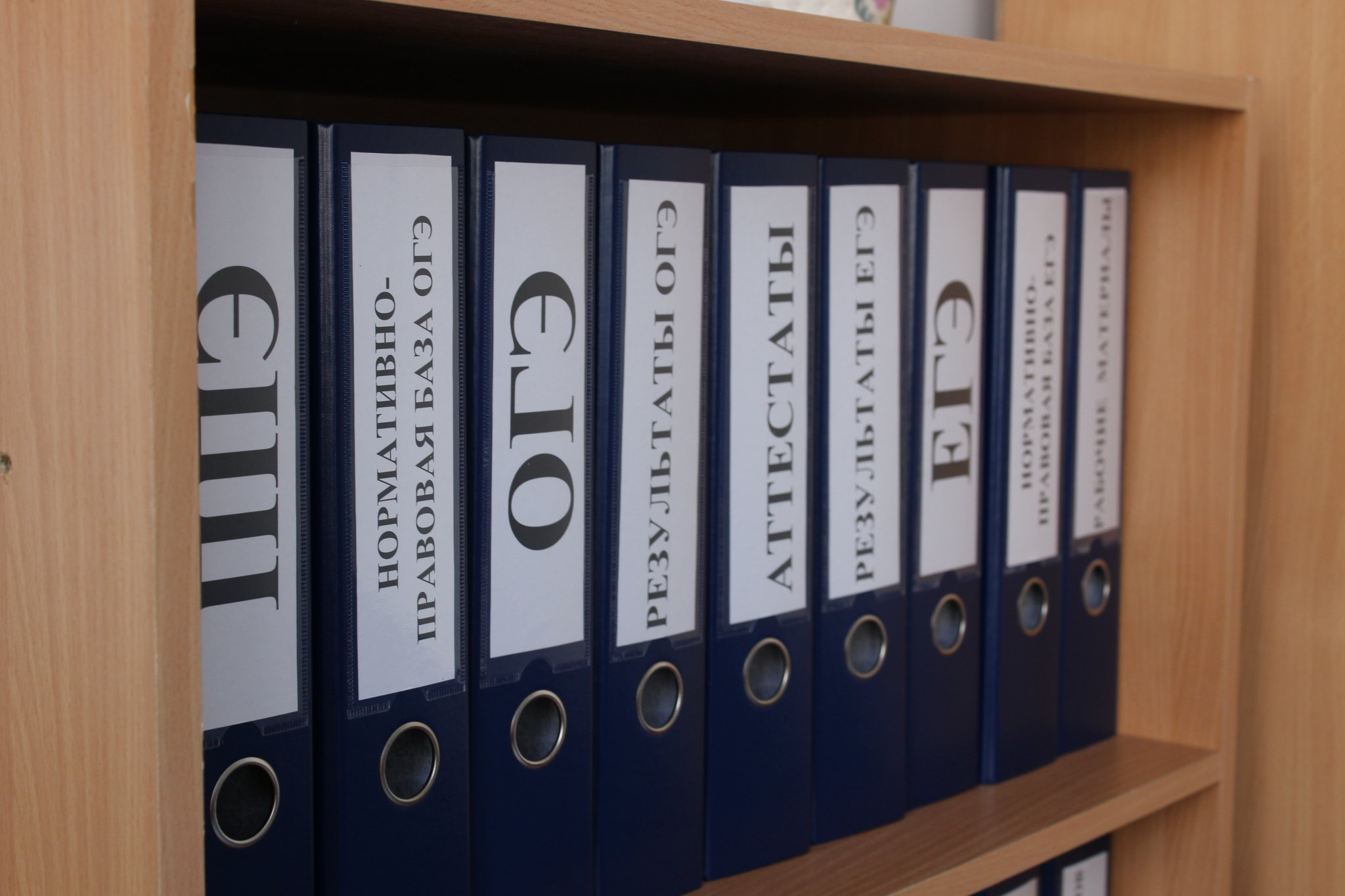 Экзамены Анна Жертовская, ИА Stavropol.Media