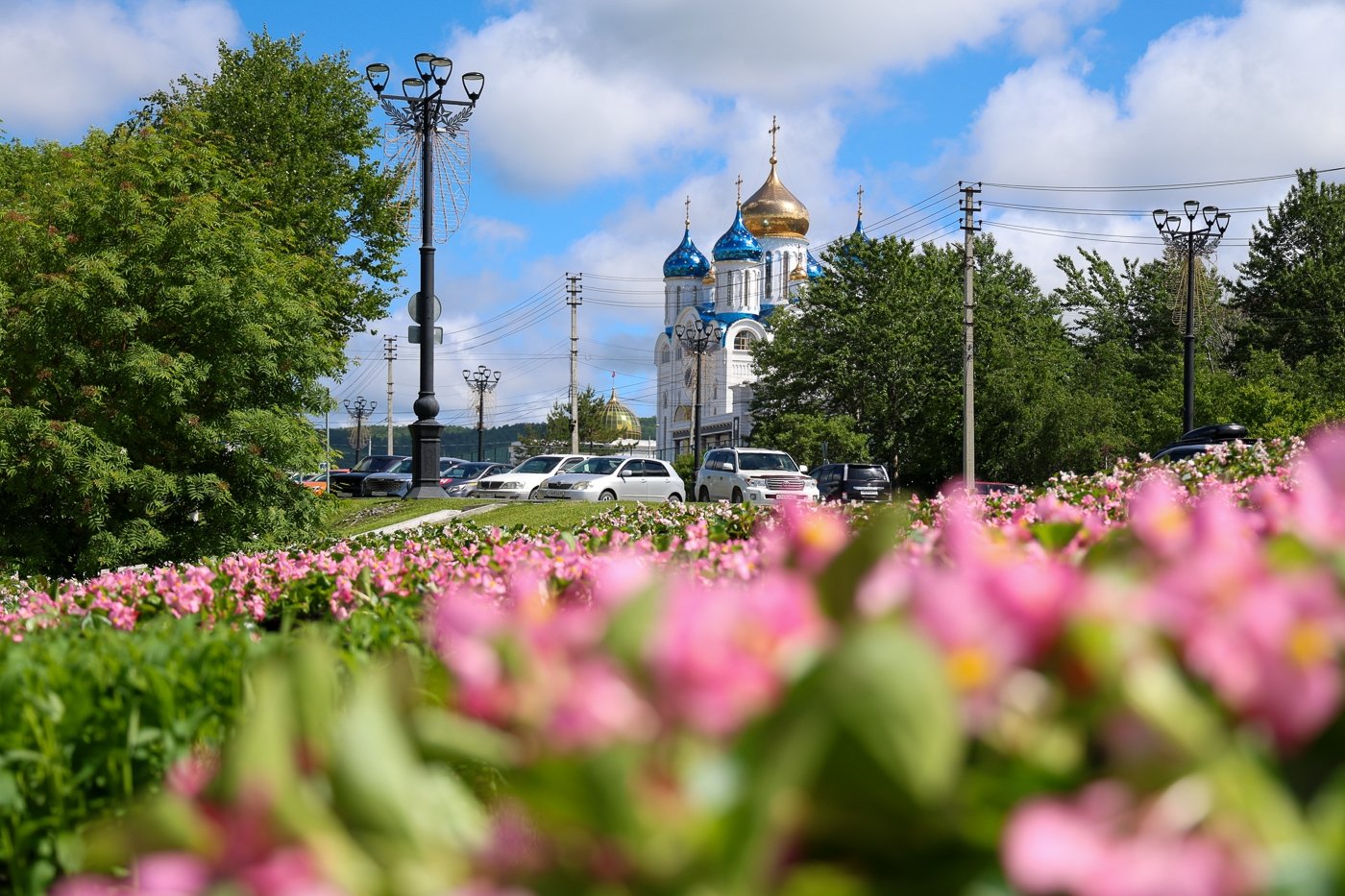 Высадка цветов пресс-служба администрации Южно-Сахалинска