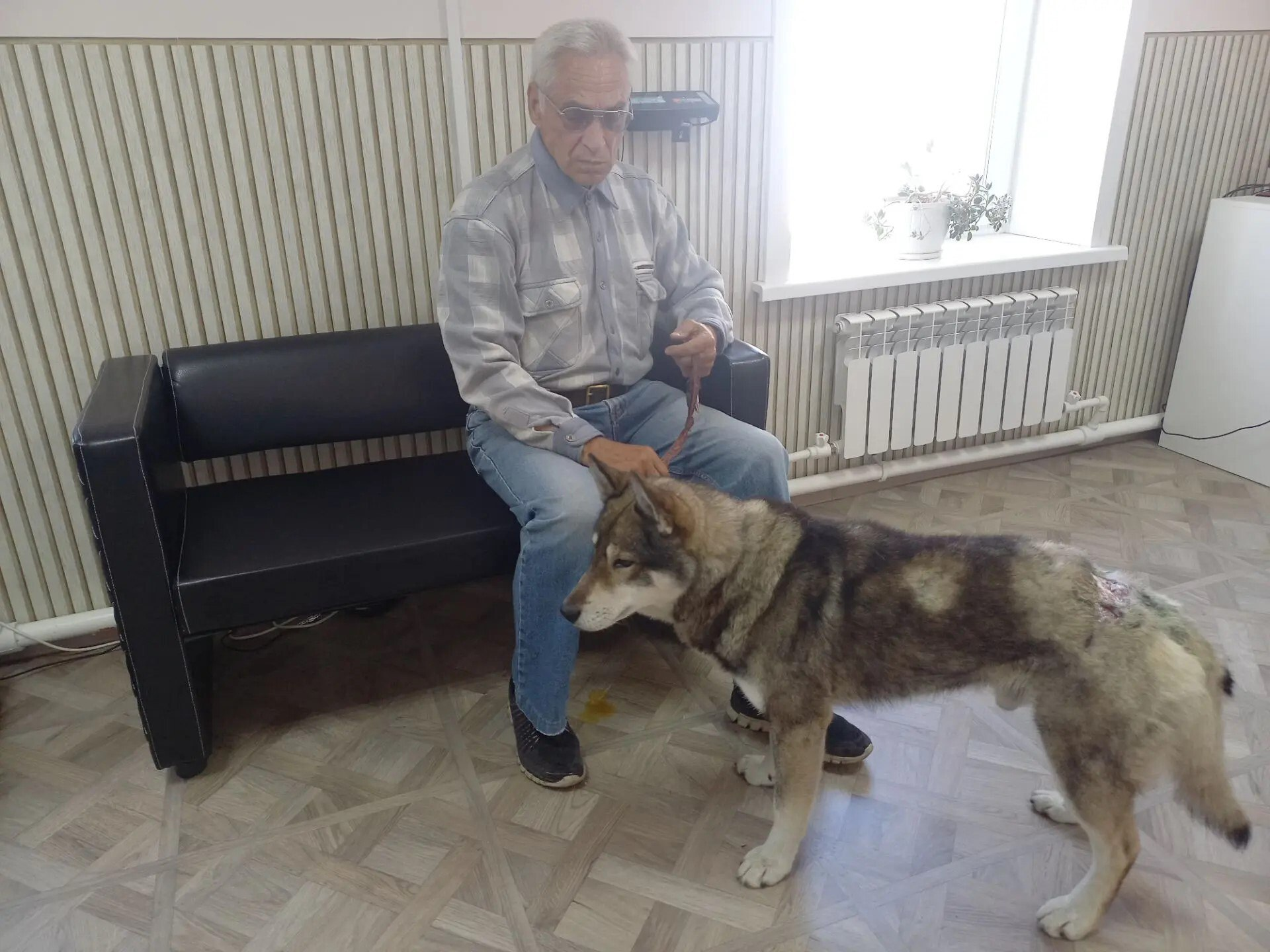 Собака с хозяйном пресс-служба ветплемагентства Сахалинской области