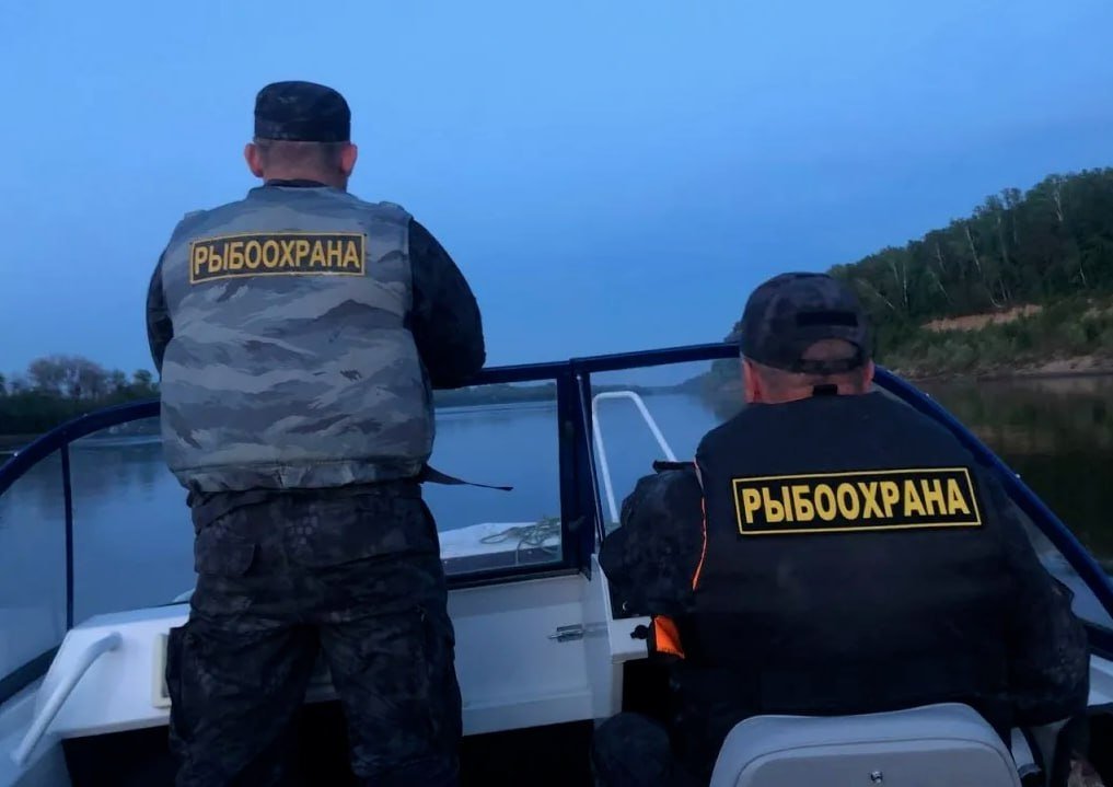 Тематическое фото пресс-служба Сахалино-Курильского ТУ Росрыболовства