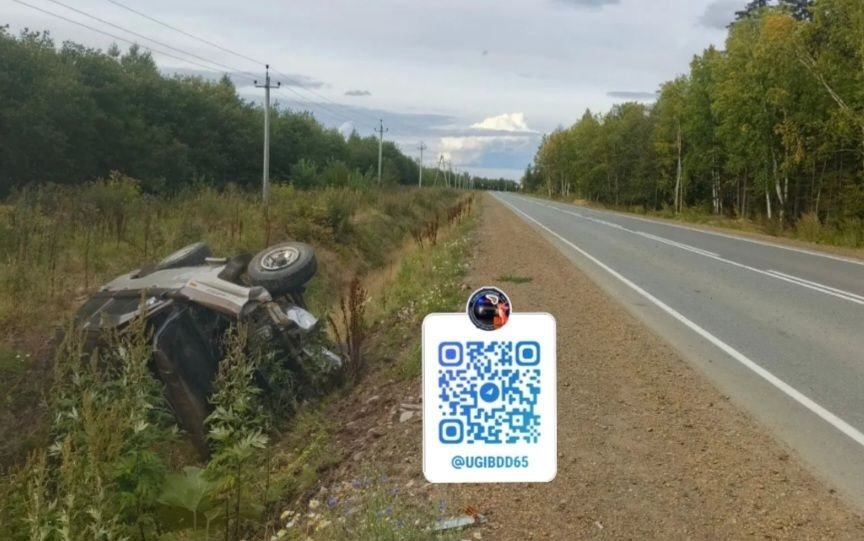 Пьяный водитель на внедорожнике улетел с трассы в Тымовском районе УГИБДД УМВД России по Сахалинской области