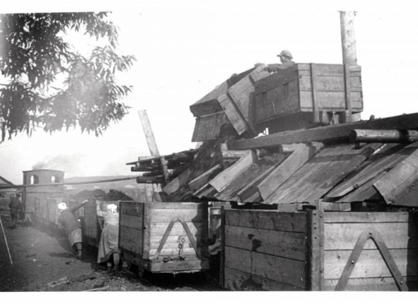 Фото дня